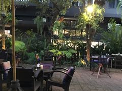 -Fern Forest Cafe