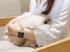 -藏猫猫咖啡主题馆(中央大道店)