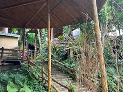 -海南槟榔谷黎苗文化旅游区