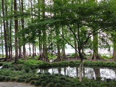 -茅家埠