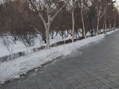 -哈尔滨文化公园
