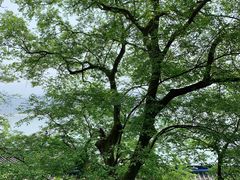 -丰都鬼城名山景区