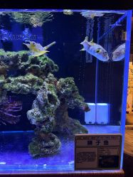 -Zoolung Zoolung动物主题公园(海信广场店)