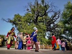-大槐树寻根祭祖园