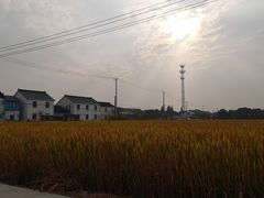 -七的湖·晚芳亭·阳澄湖农家菜·大闸蟹(莲花岛店)