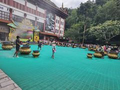 -西双版纳原始森林公园
