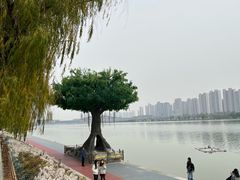 -渭滨公园