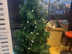 -本色.小马哥烧烤(无锡九里仓店)