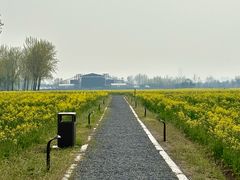 -汉长安城未央宫国家考古遗址公园