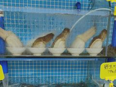 -前王院•巧克力海鲜市集餐厅(万平口店)