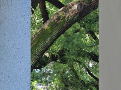 -湖北美术学院(昙华林校区)