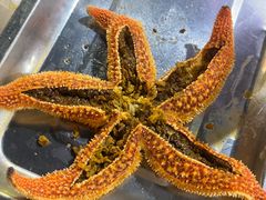 -众想海鲜·烧烤·海肠捞饭·渔家菜(孙家疃店)