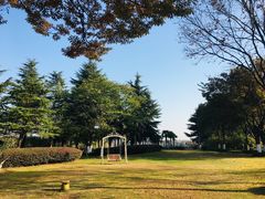 -上海市保健医疗中心