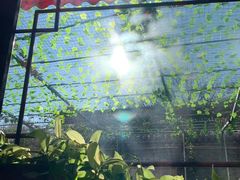 -伊隆斋(什刹海店)