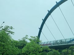 -合肥新桥国际机场-航站楼