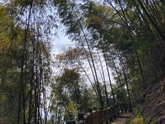 -蜀南竹海景区