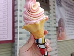 -广州素食学校·素猫豆腐(长洲码头店)