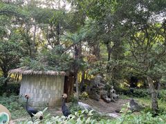 -扬州市茱萸湾风景区