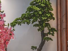 -千寻山野烤肉(中关村店)