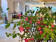 -HUATA 'Holiday Plan 花榻