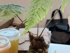 -喜茶(常州新北万达店)