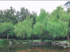 -西湖外事游船(花港观鱼码头)