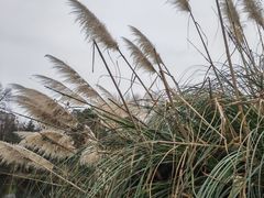 -花溪公园
