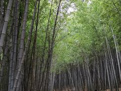 -穹窿山景区