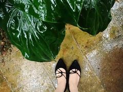 -莫里热带雨林景区