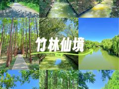 -同里国家湿地公园