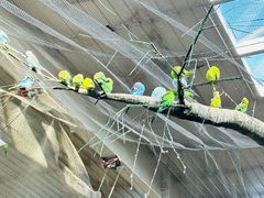 -南宫五洲植物乐园