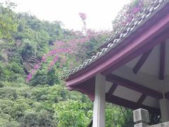 -南海湾森林生态园