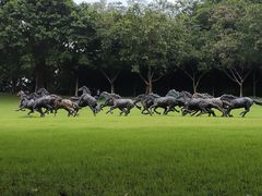 -广州雕塑公园