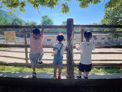 -西安秦岭野生动物园