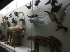 -国家自然博物馆