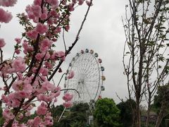 -观澜湖生态运动公社