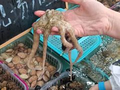 -海坛特色小吃·只做平潭特色菜(平潭店)