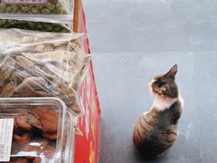 -方林富炒货店(武林路店)