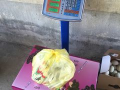 -马陆小张葡萄园农家乐