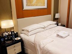 -常州武进九洲喜来登酒店