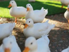 -珠海海泉湾神秘岛亲子乐园