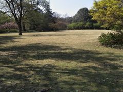 -西湖外事游船(花港观鱼码头)