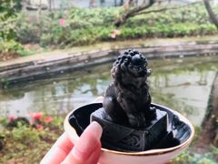 -广富林宰相府酒店·水云间