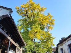 -惠山古镇·寄畅园