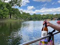 -上海共青森林公园