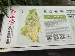 -都江堰中华大熊猫苑