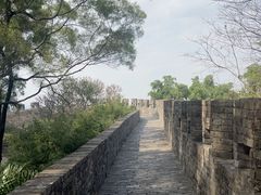 -广州莲花山旅游区