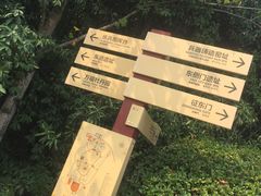 -合肥三国新城遗址公园