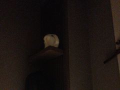 -泰合玺·精油疗愈 SPA(南京河西万达店)