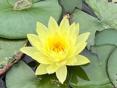 -东莞植物园